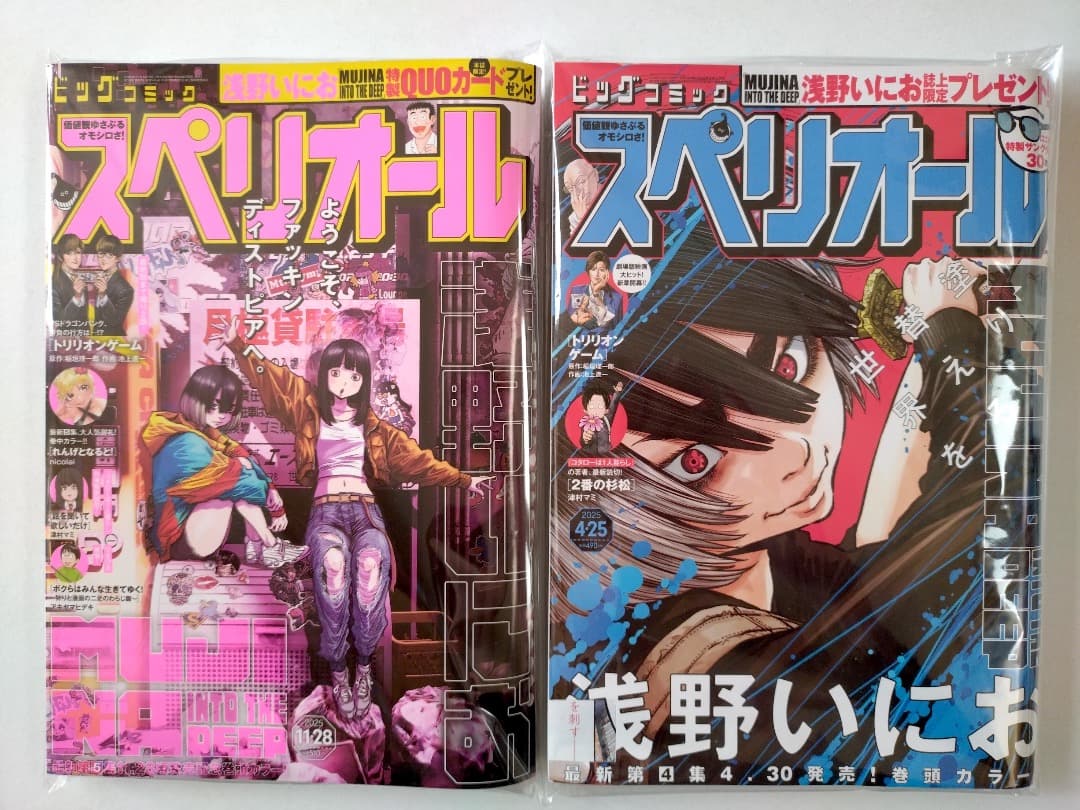 【希少】【美品】【MUJINA INTO THE DEEP】スペリオール 2冊