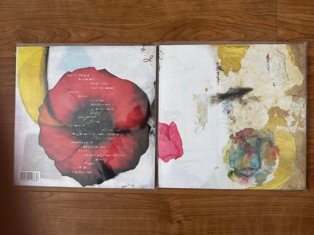 Teebs ティーブス レコード LP 2枚セット 洋楽レコード