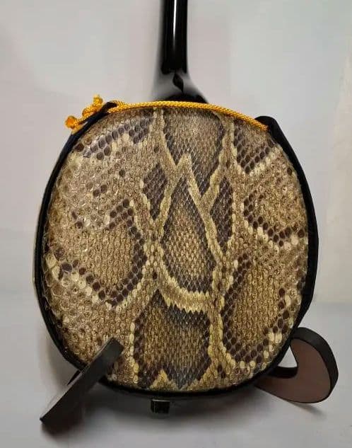 三線　サンシン本体　本皮　 金色装飾付き