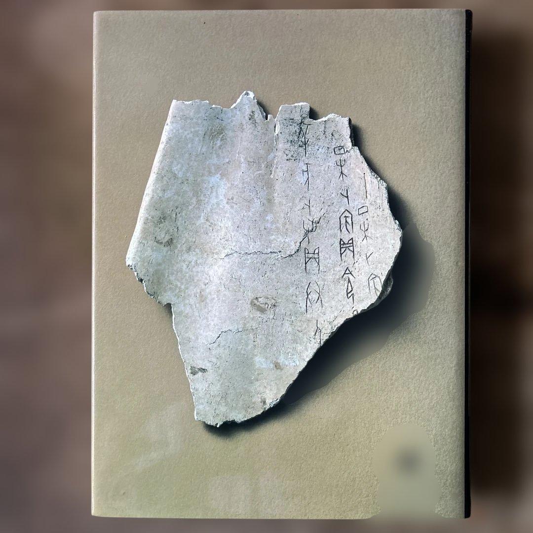 図説　漢字の歴史　阿辻哲次　大修館書店