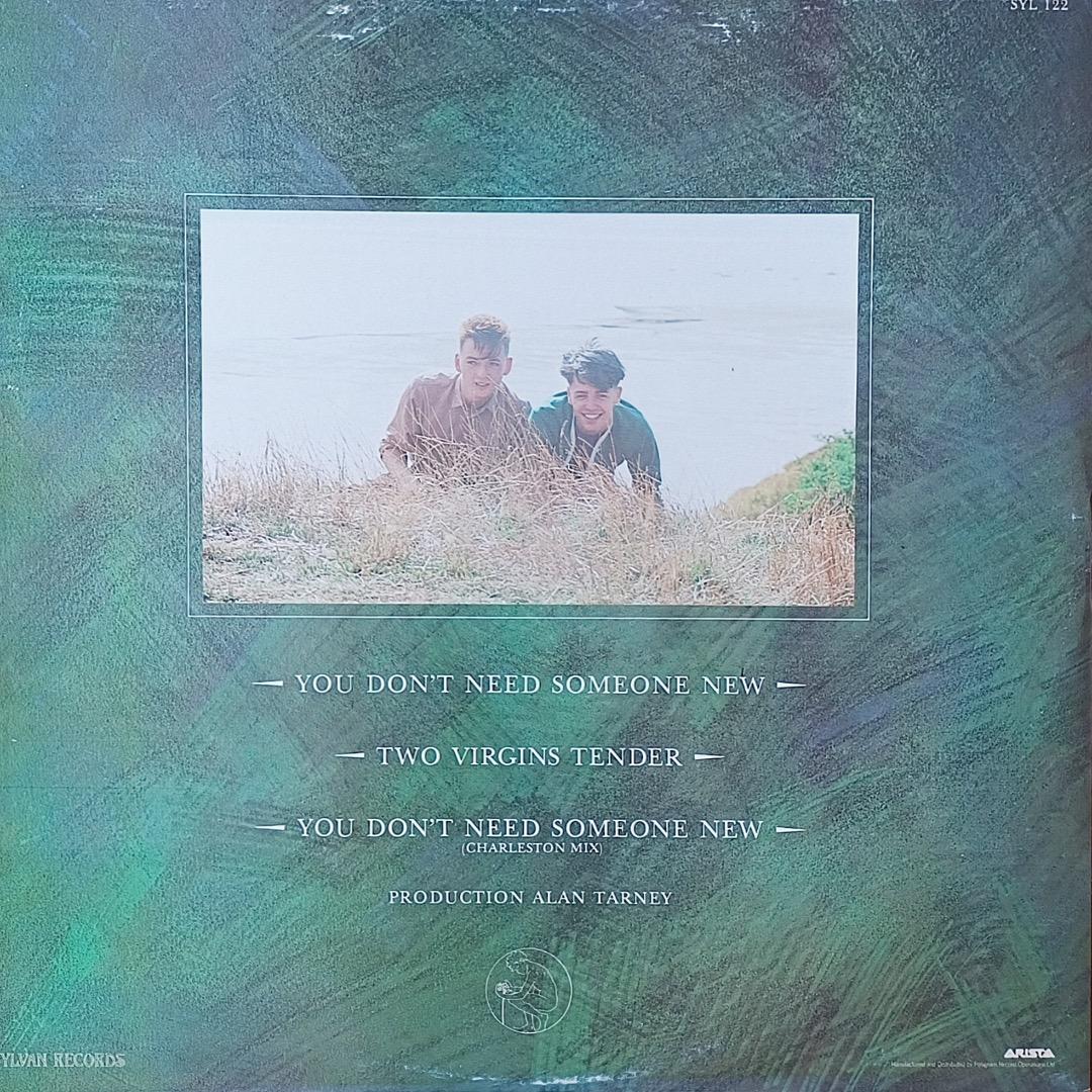 洋楽 You don't need-12inch /The Lotus Eaters