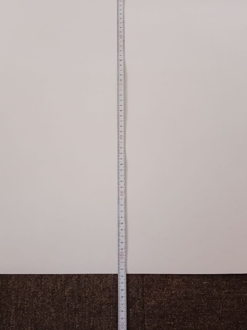 【ローリング・ストーンズ 】1990年ツアーポスター日本初公演使用済半券1枚