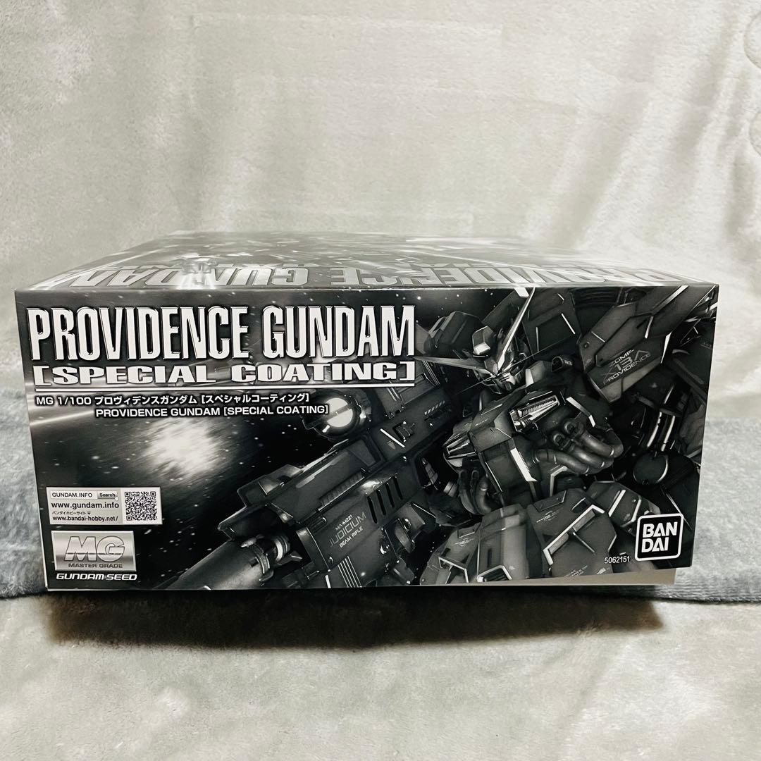 【新品未開封】1/100 MG ZGMF-X13A プロヴィデンスガンダム