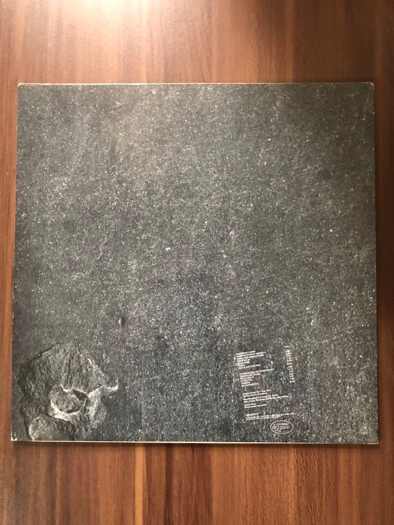 Einstürzende Neubauten