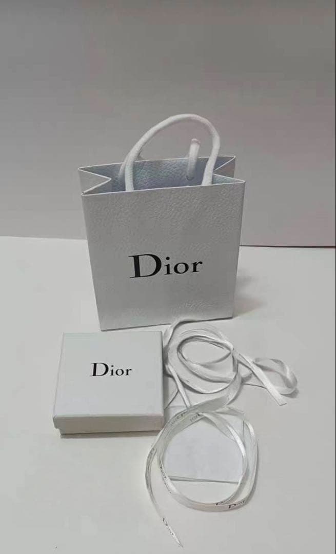 Dior 二連重ねデザインシルバー ネックレス