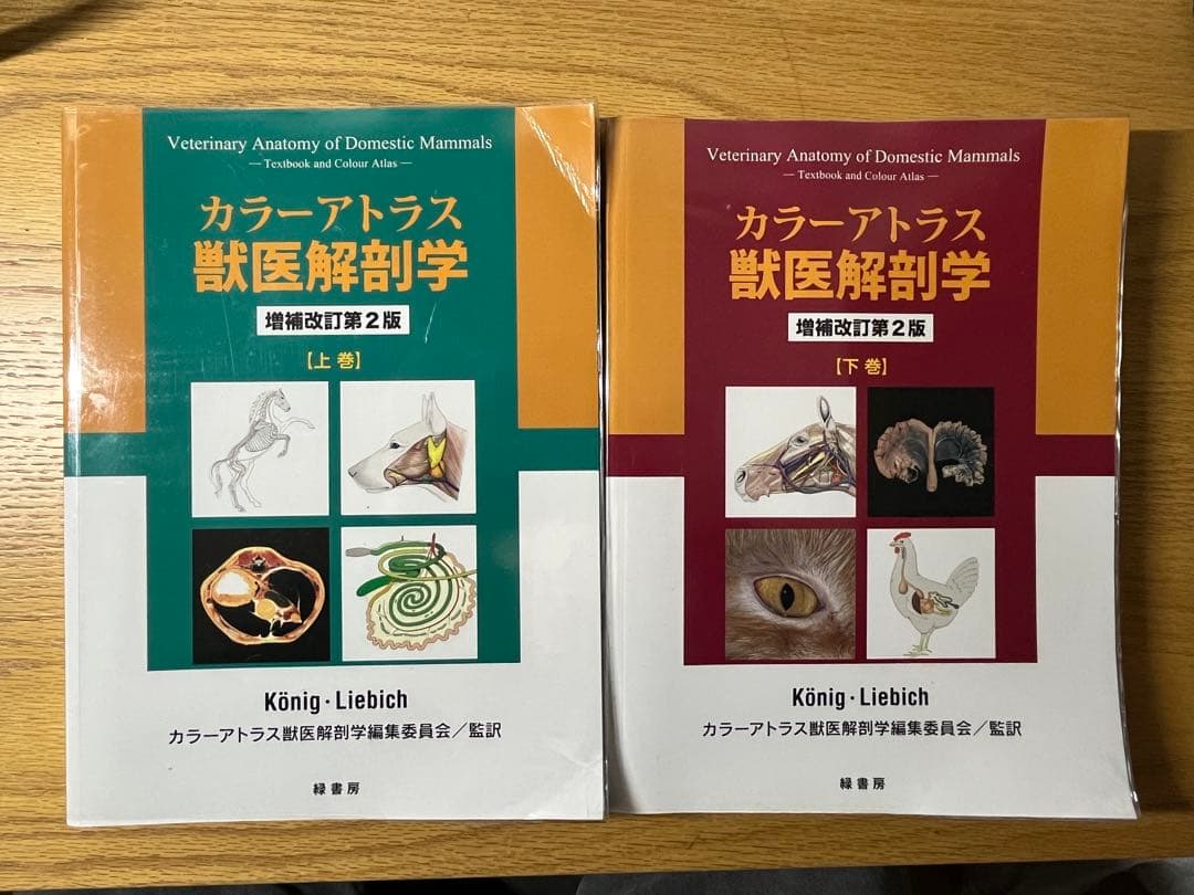 カラ―アトラス 獣医解剖学 上・下巻セット　増補改訂第2版