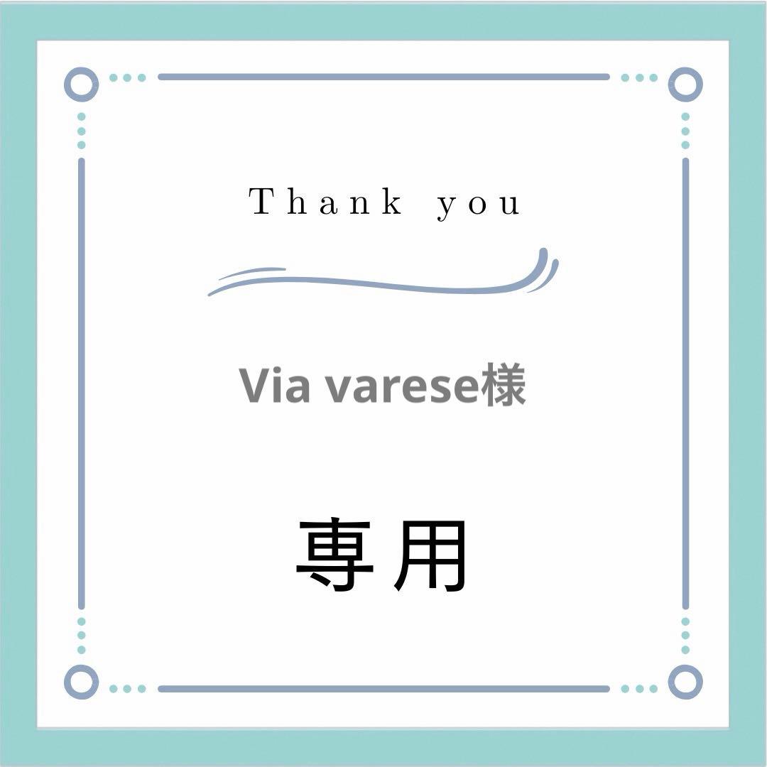 Via varese分
