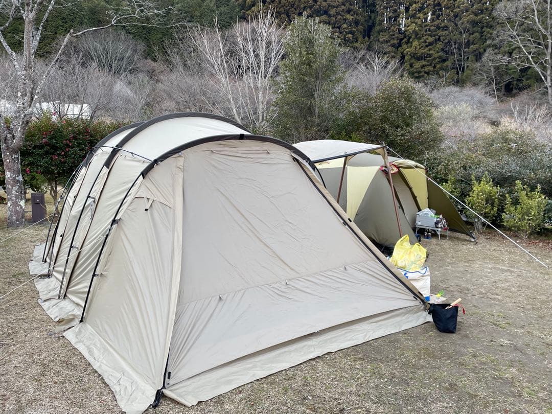 【YUDAI】アルニカ サンドストーン