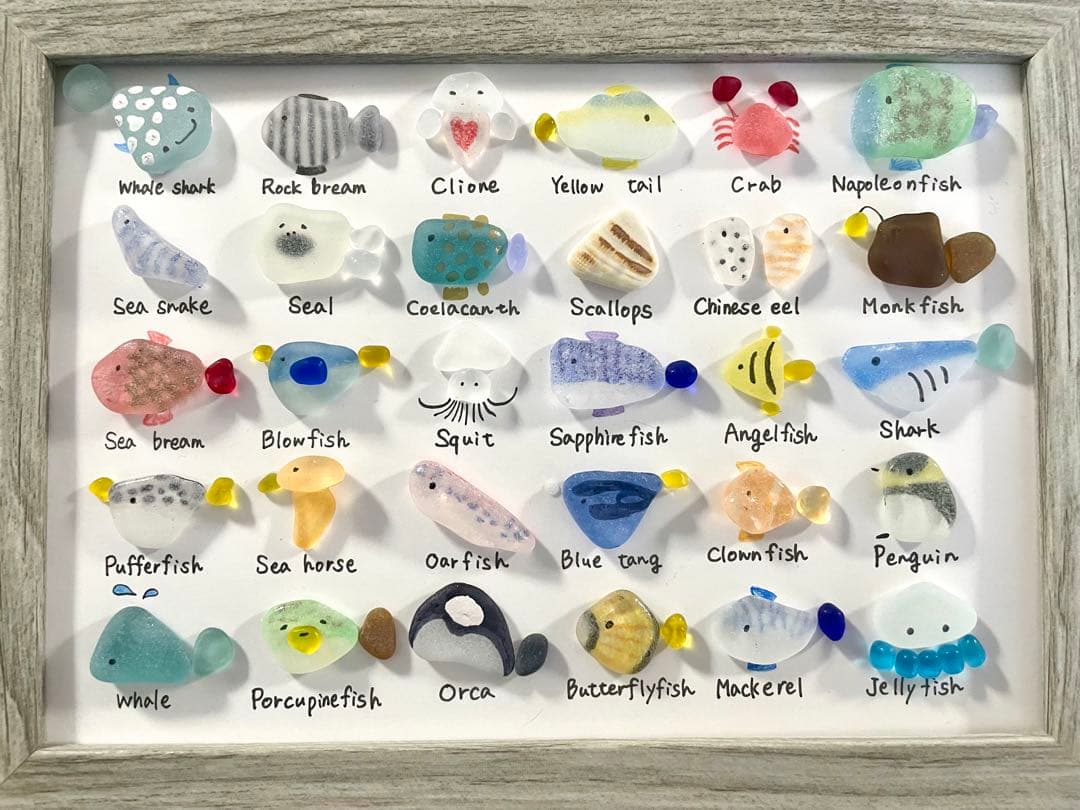 人気の新作！シーグラスアート☆No.452 図鑑　海の生き物　ギフト　プレゼント