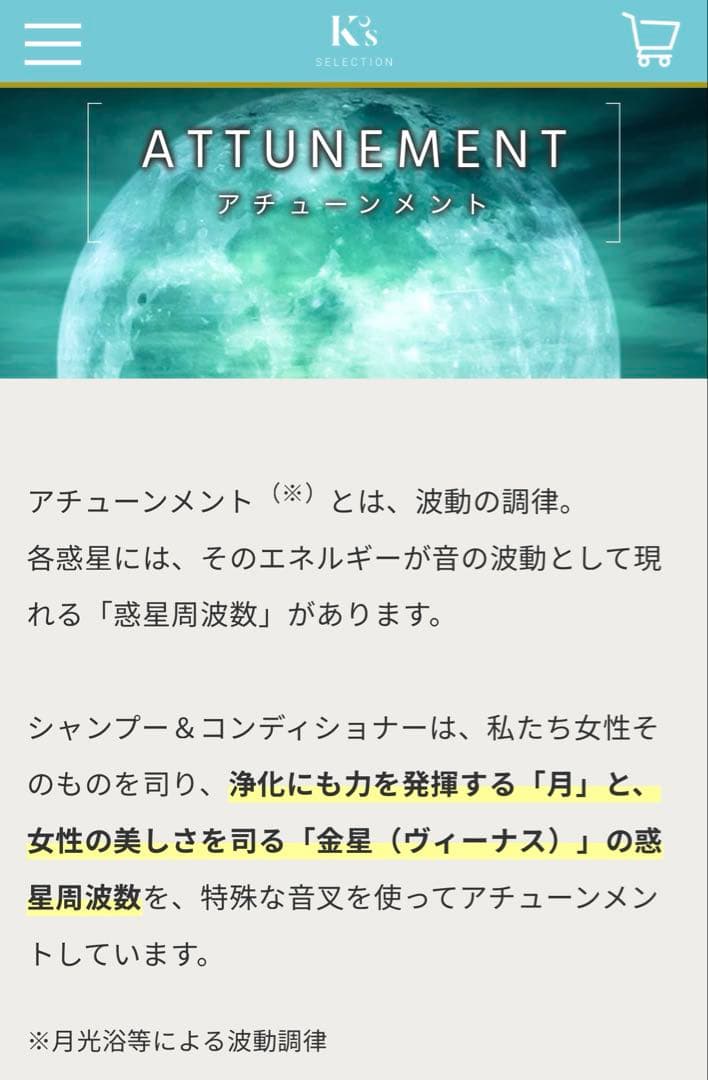 Ritua ボタニカルパワーシャンプー、コンディショナー 各400ml