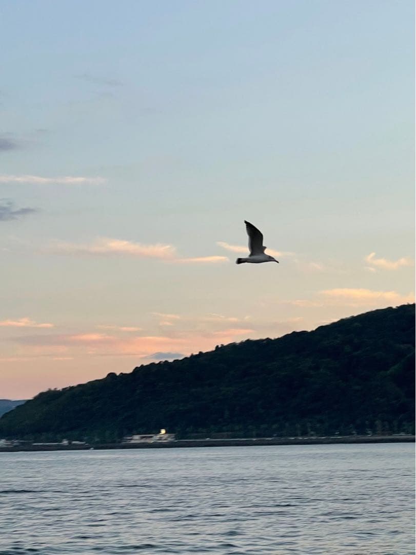 Wエネルギー‼️フラーレン❣️特大フラーレンIN天然フラーレンのシュンガイト★