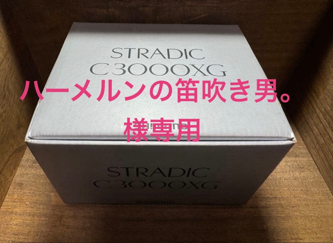 「ハーメルンの笛吹き男。」　23 ストラディック C3000XG