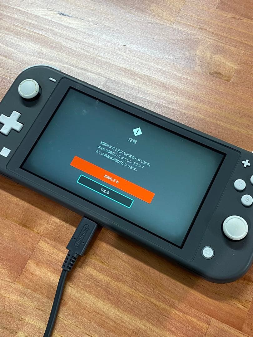 Nintendo Switch Lite 本体 グレー系 スイッチライト