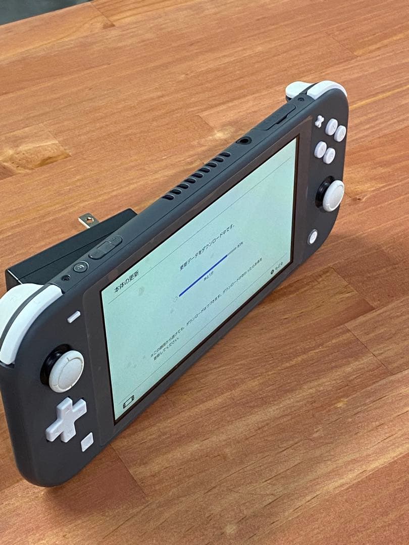 Nintendo Switch Lite 本体 グレー系 スイッチライト