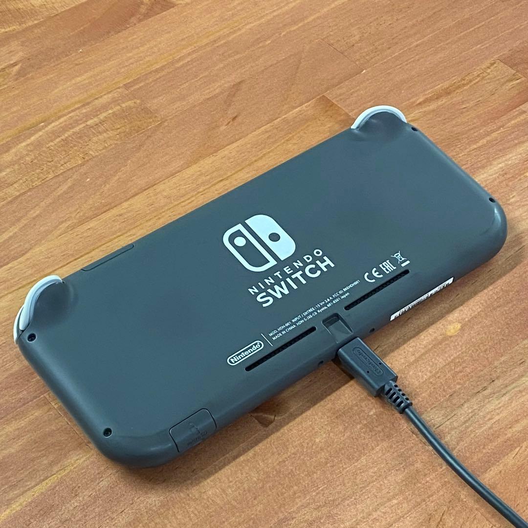 Nintendo Switch Lite 本体 グレー系 スイッチライト