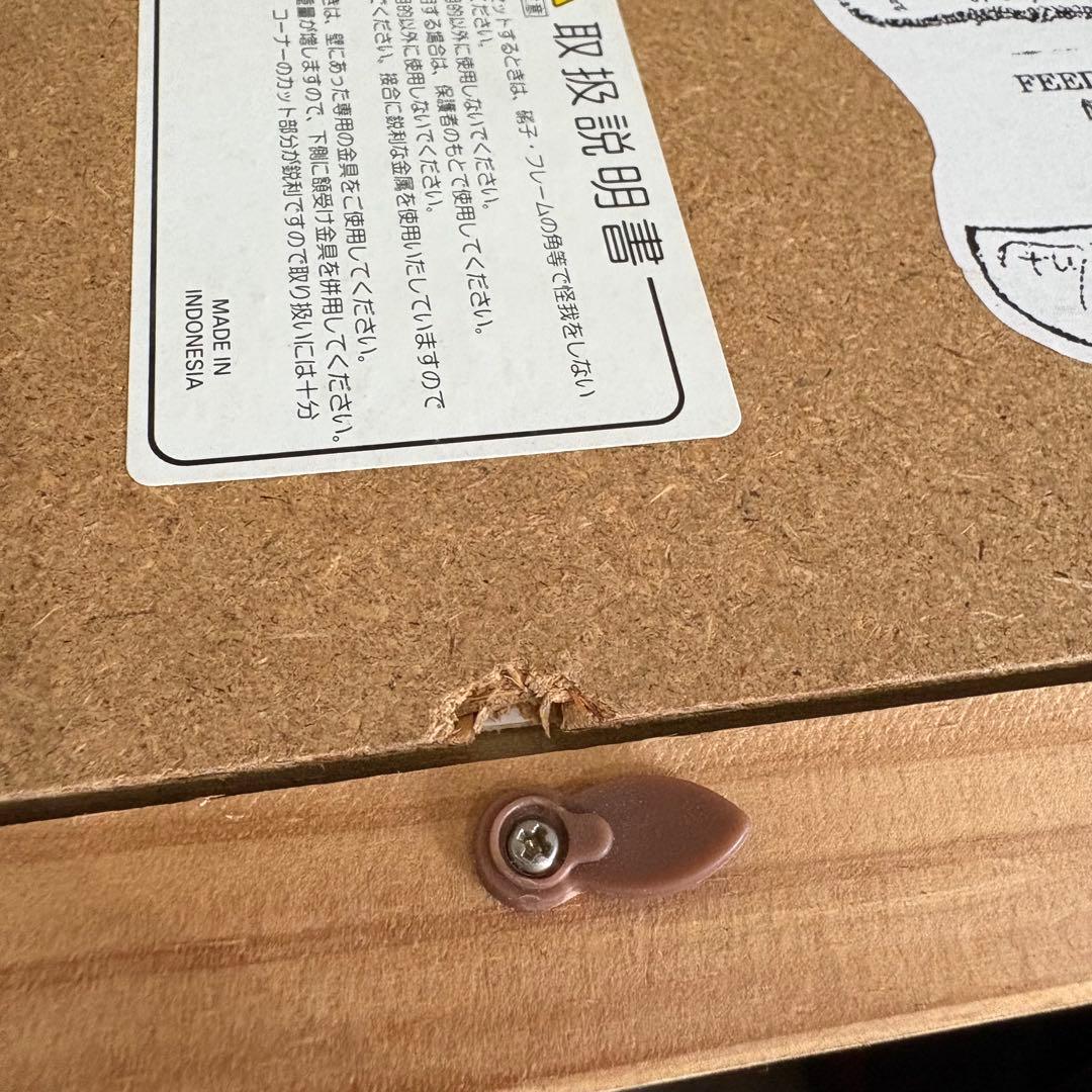 フジコヘミング　FEEDING 餌撒き　リトグラフ　絵画　版画　ウルちゃん