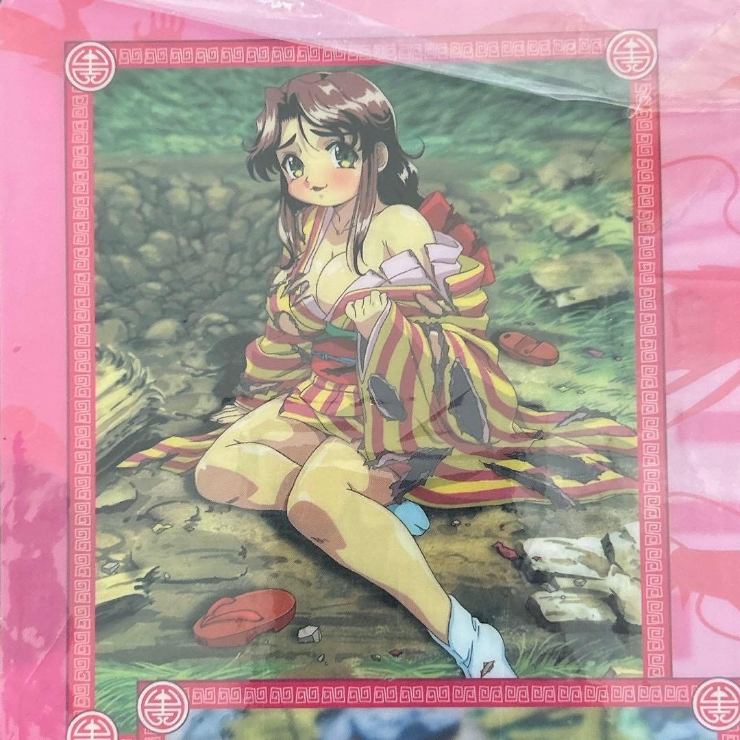 ちゅ〜かな雀士 てんほー牌娘 Remix ニンテンドーDS 箱説明書等有 特典付