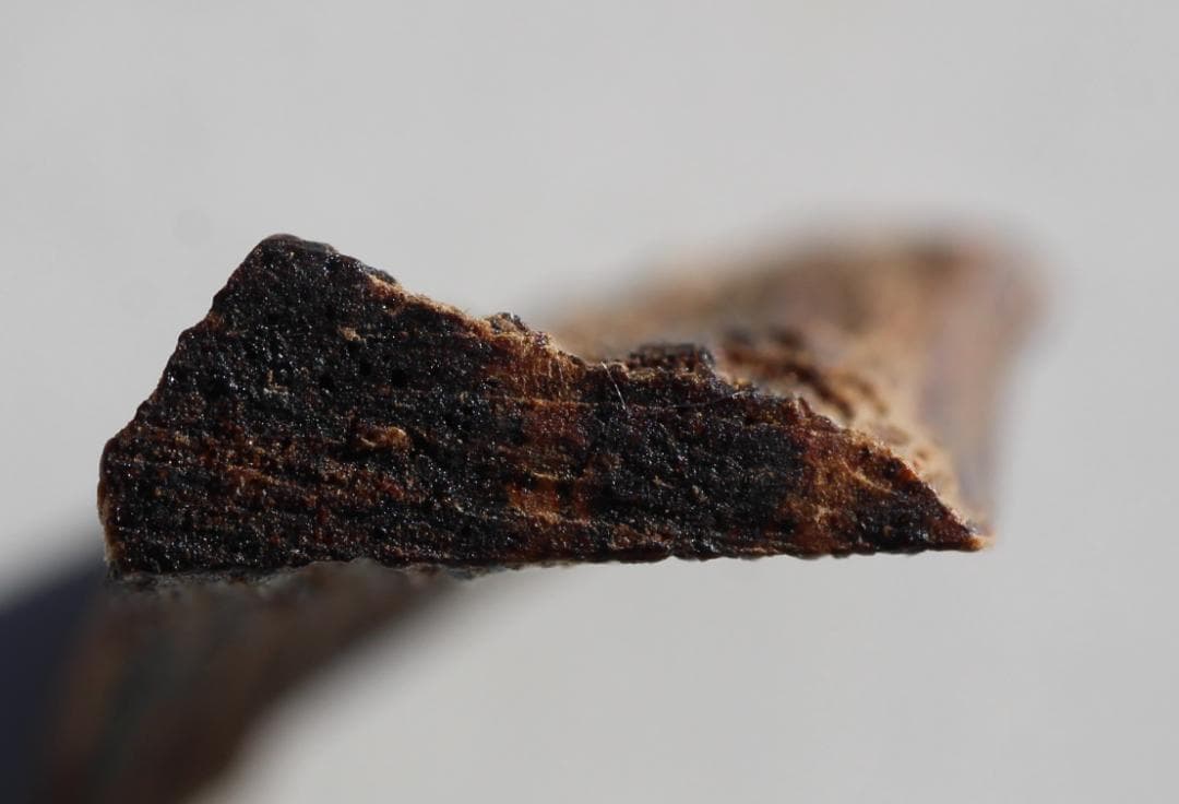 香木 古渡命銘木 「初音」約0.28g 沈香 伽羅 奇南 奇楠 お香 香道