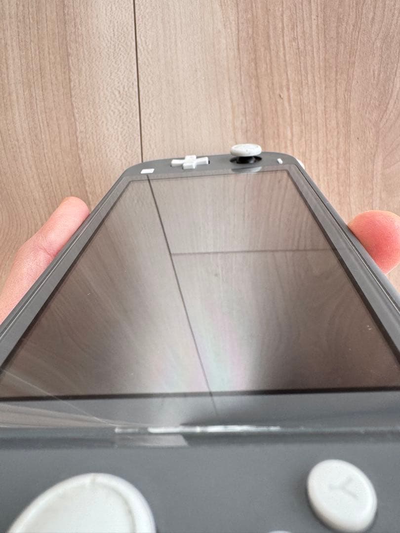 Nintendo Switch Lite 本体 ケース