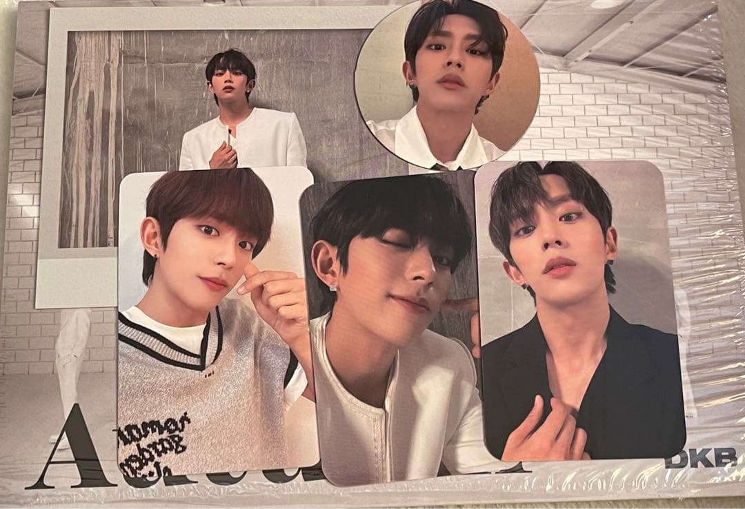 DKB Autumn d1 mmt アルバム トレカ