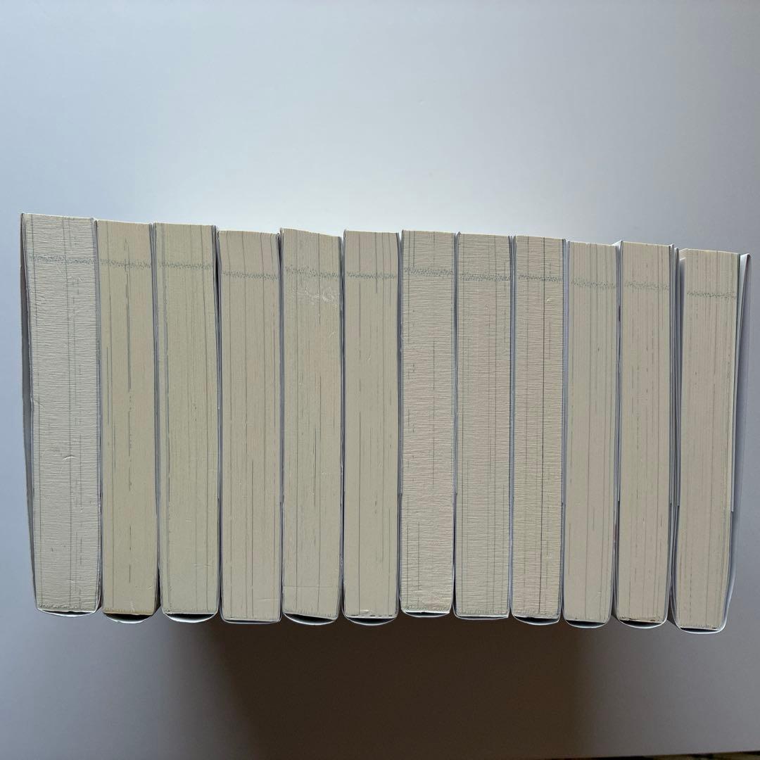 転生した大聖女は、聖女であることをひた隠す　1〜12巻