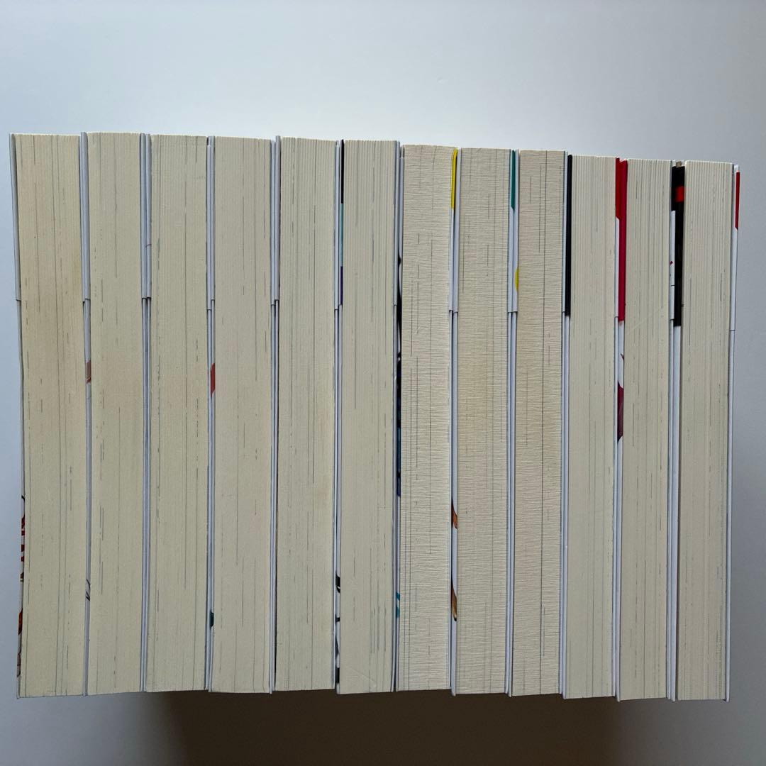 転生した大聖女は、聖女であることをひた隠す　1〜12巻