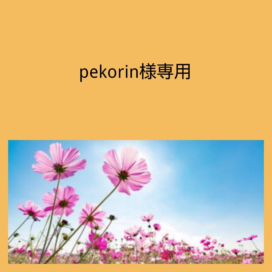 専用ページ 合計5点 K18チャーム