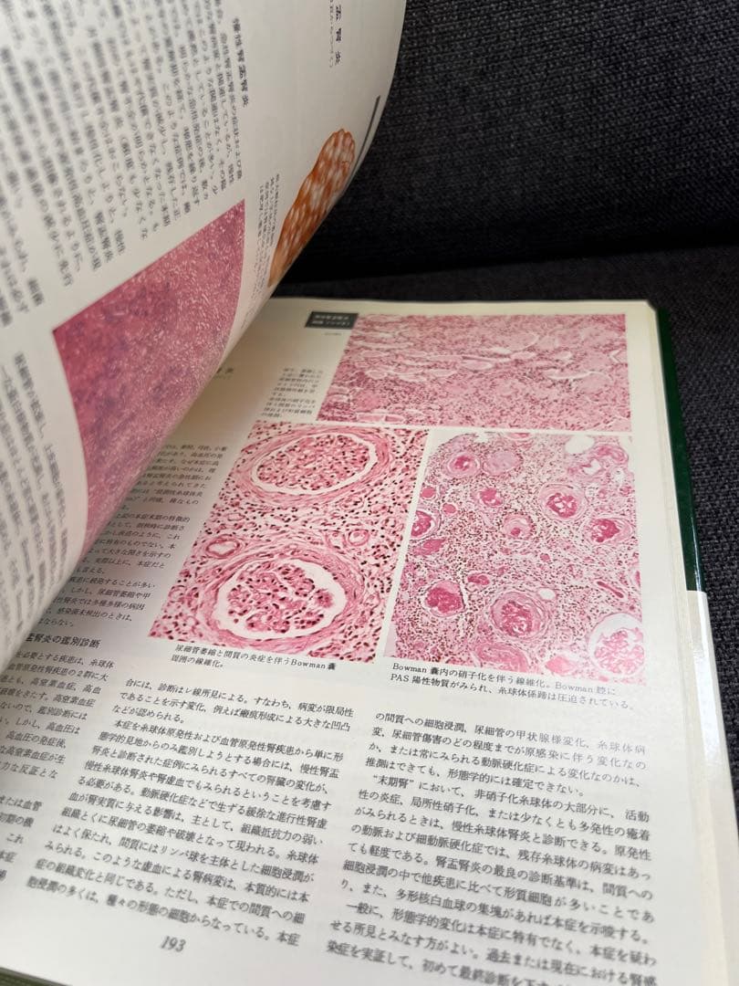 医学図譜集 腎臓編【Frank H. Netter 解剖学専門書 医学イラスト本