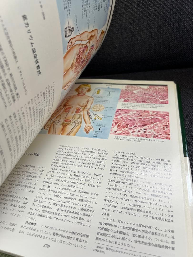 医学図譜集 腎臓編【Frank H. Netter 解剖学専門書 医学イラスト本