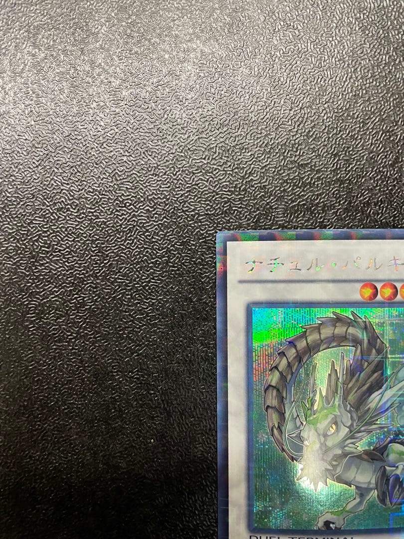 【貴重】 ナチュルパルキオン　dtc シークレット