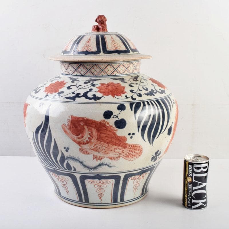 大発中国　辰砂　花弁魚藻文　獅子摘　蓋壺　Ｃ　8939Ａ