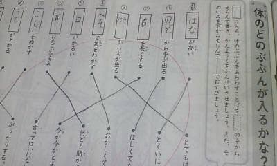 サピックス ＳＡＰＩＸ＊デイリーサピックス＊２年 小２＊国語／全１８回 完全版