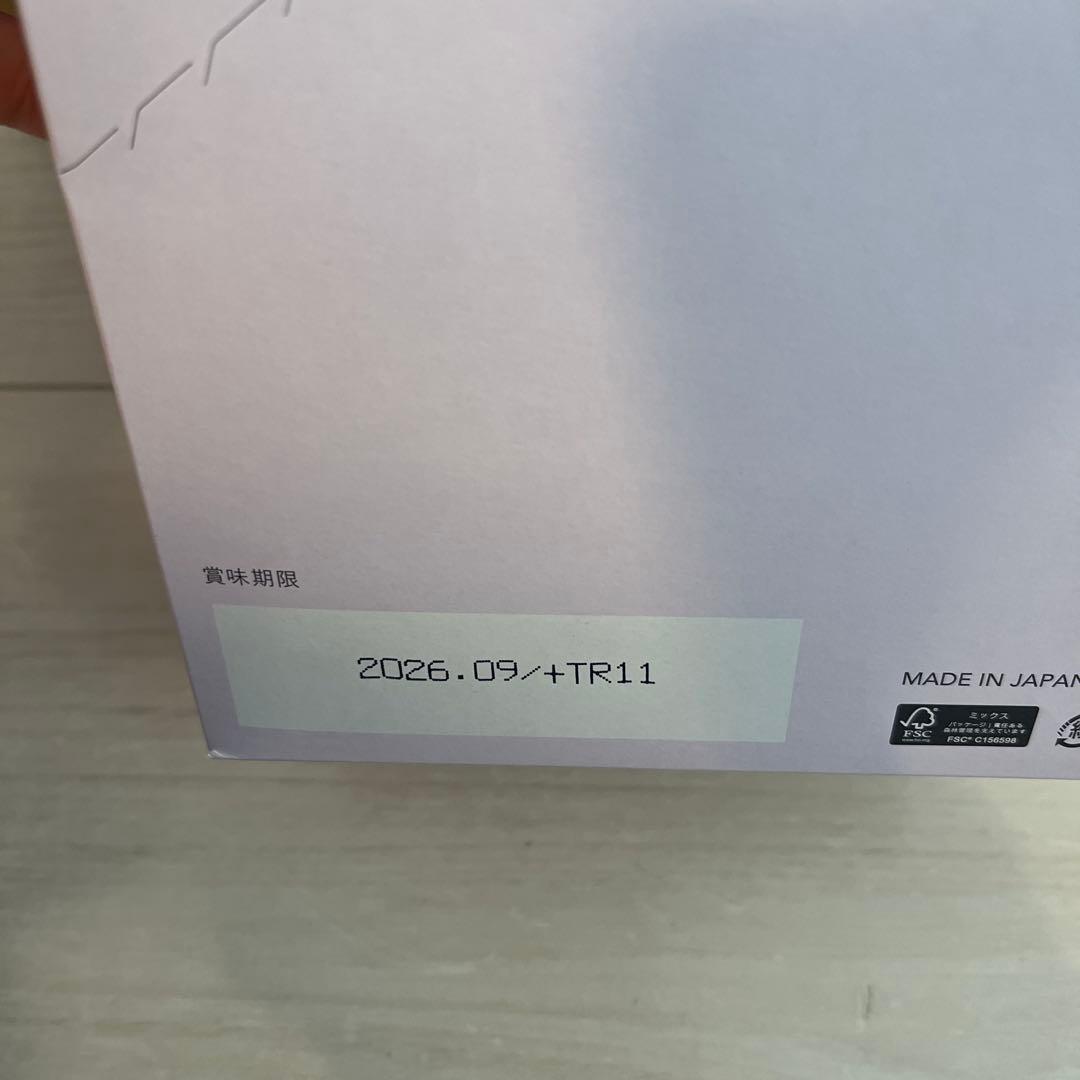 FUJIMI ファスティングセット　エクストラ抹茶ミルク