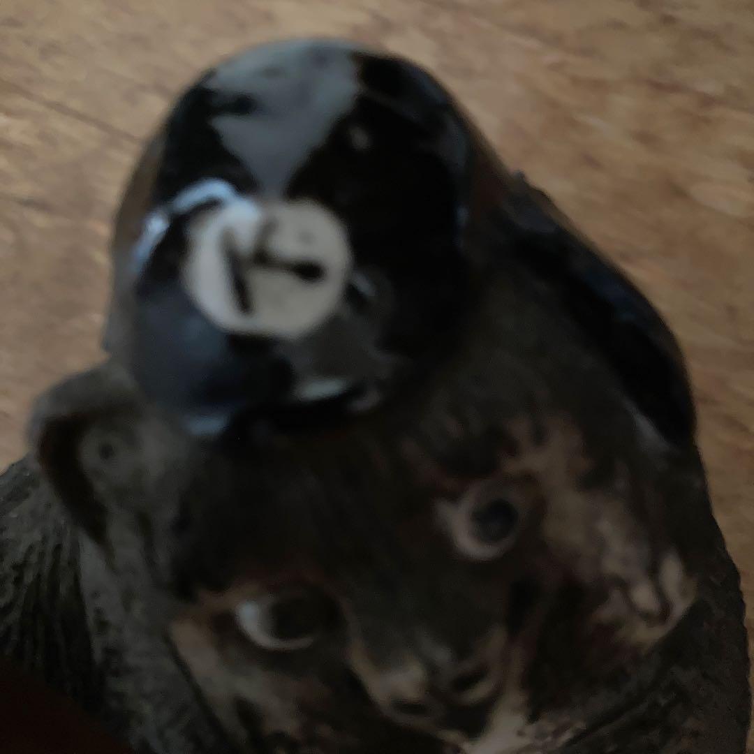 名門　狸庵の珍しいバットを持ったキュートなお目目のタヌキ君の置物です。