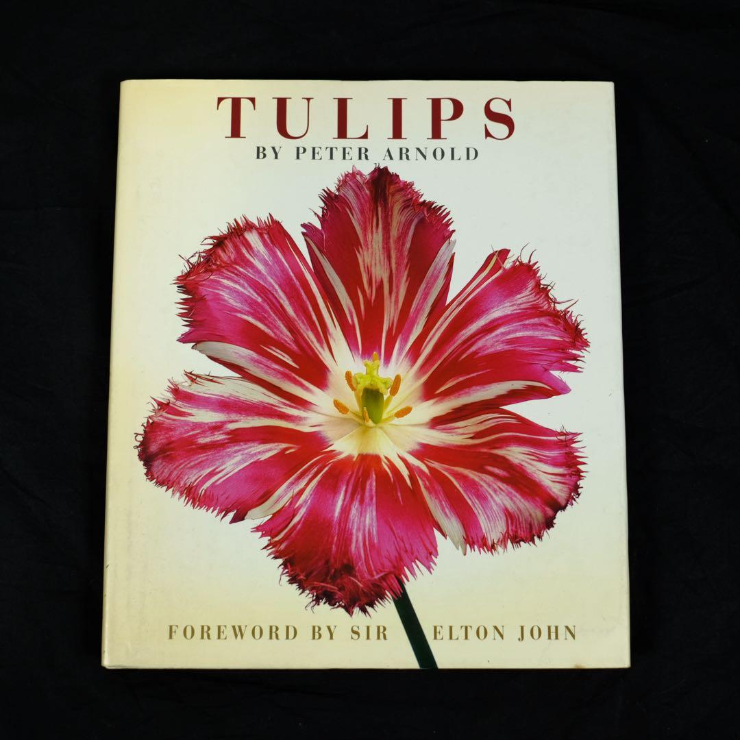 TULIPS by PETER ARNOLD チューリップ　花の写真集　洋書