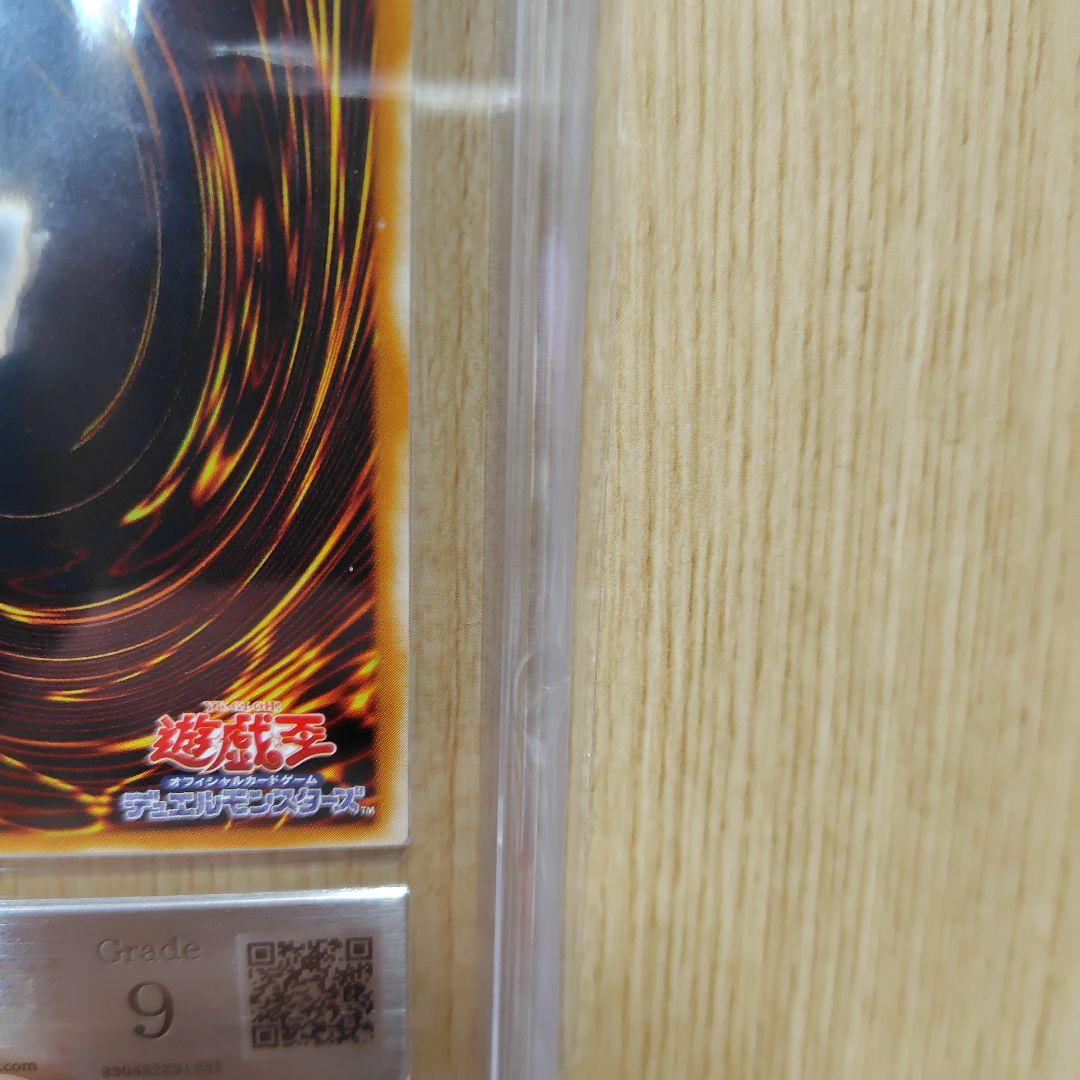 アッシュです。