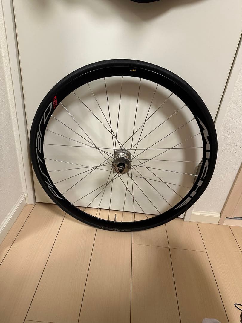 MICHE PISTARD WR クリンチャー