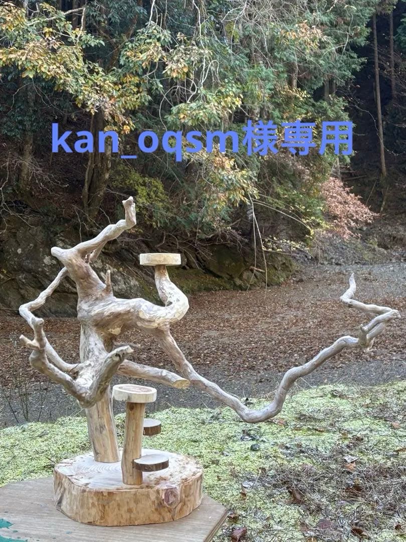 止まり木 kan_oqsm