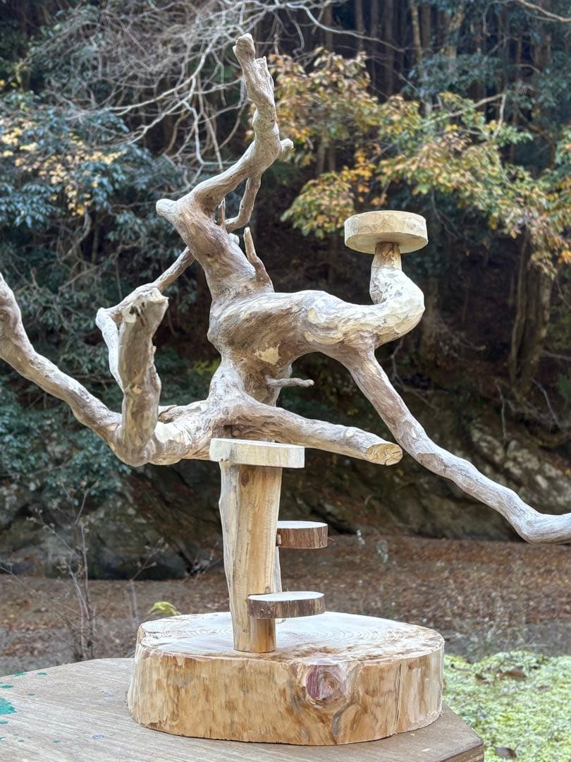 止まり木 kan_oqsm