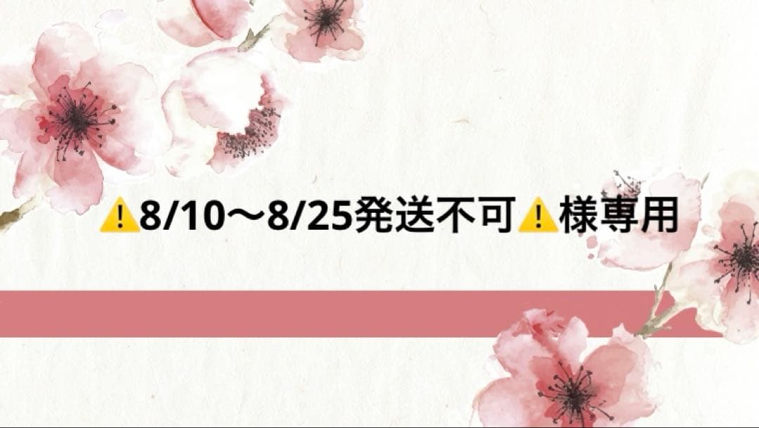 ⚠️8/10～8/25発送不可⚠️