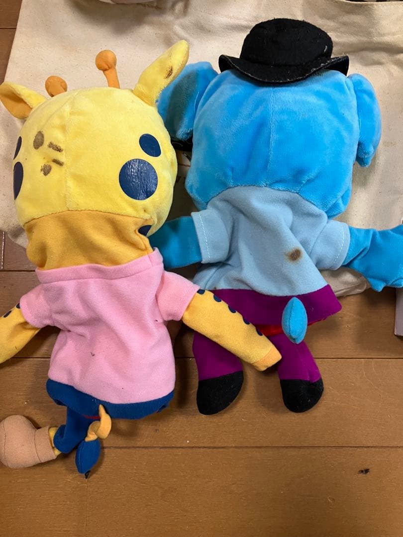 ワールドワイドキッズ　DVD