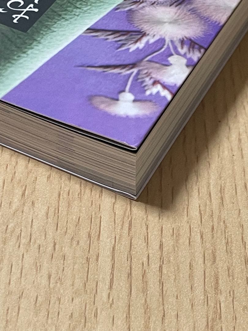 半衿のおしゃれ・夏のおしゃれ2点おまとめ、池田重子流きものコーディネート