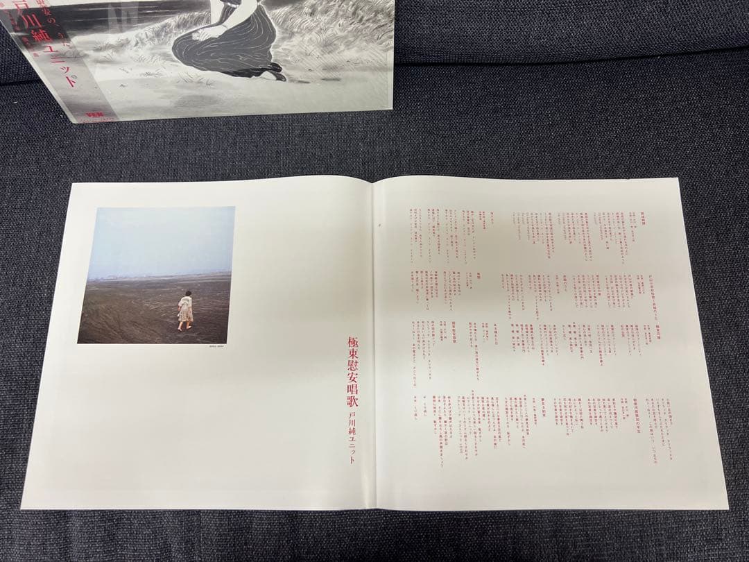 Jun Togawa Kyokutou Ian Shouka LP邦楽レコード