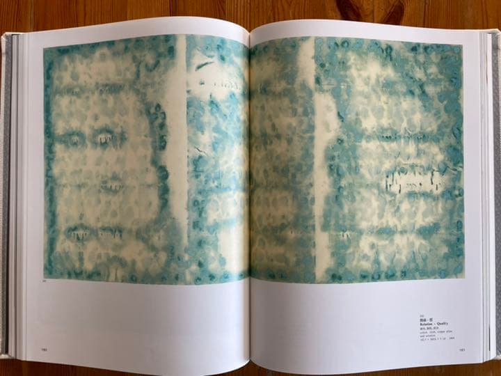 河口龍夫作品集  TATSUO KAWAGUCHI  特装本