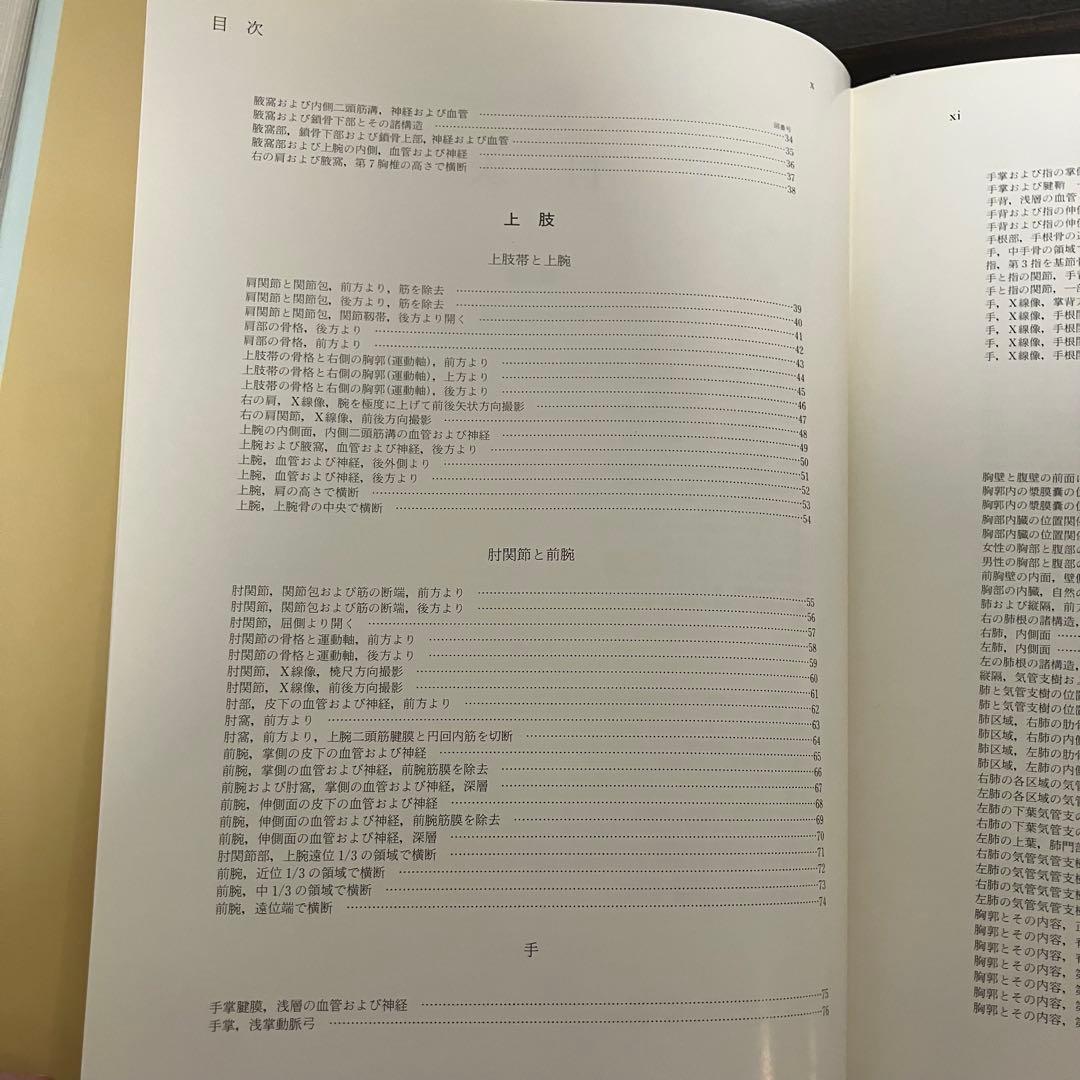 臨床応用局所解剖図譜　第2巻Pernkopf 解剖学アトラス ペルンコップ