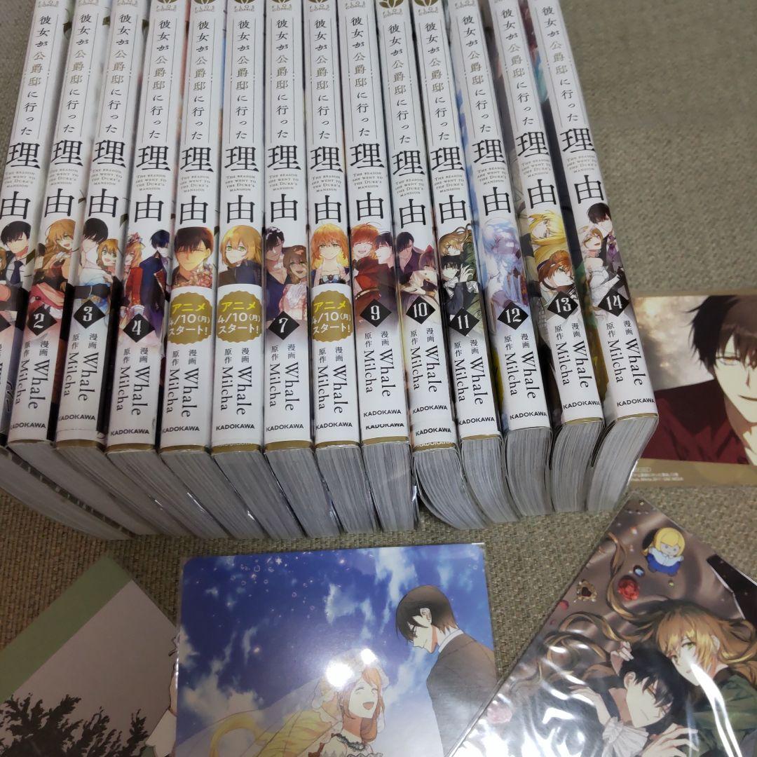 彼女が公爵邸に行った理由 1〜14巻　完結全巻