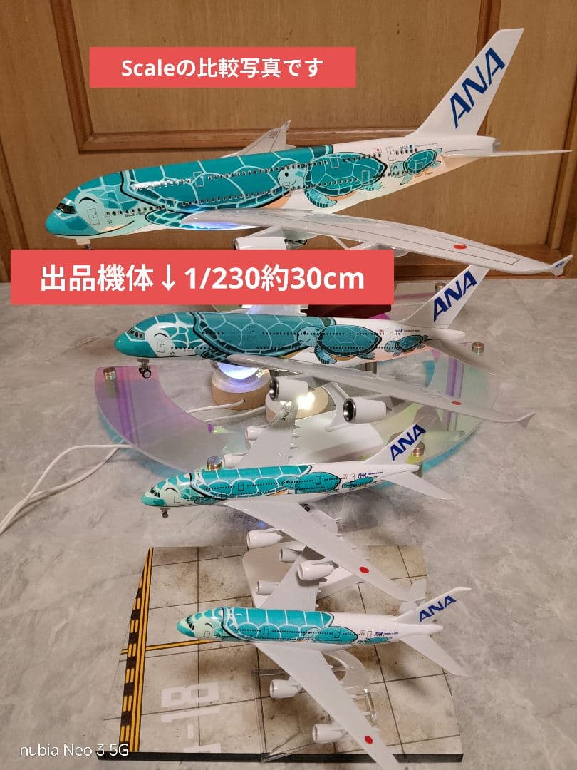 新型フライングホヌ／グリーン カイ君 約30cm