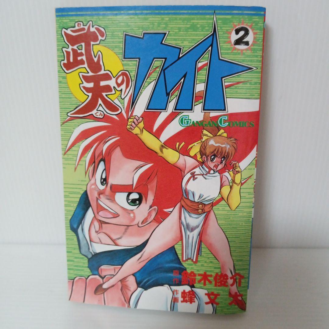 武天のカイト 2巻 初版 希少 廃盤 コミック マンガ 漫画 ガンガンコミックス