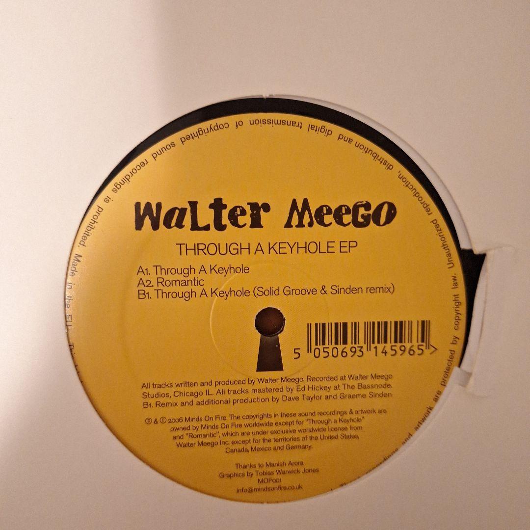 テクノ ダウンテンポ系 レコード 10枚セット