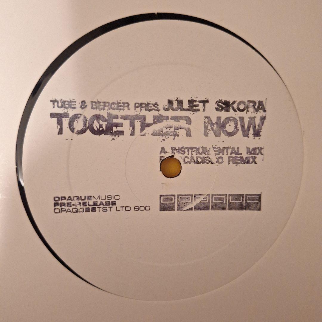 テクノ ダウンテンポ系 レコード 10枚セット